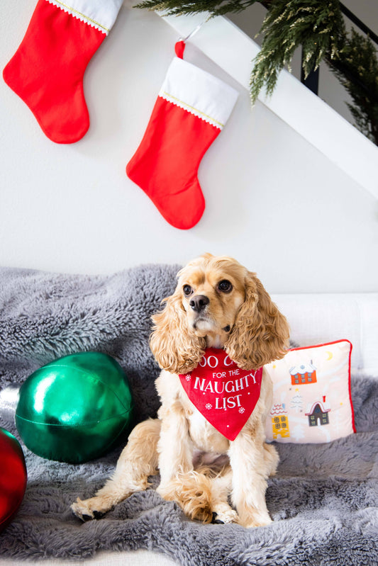 "Too Cute for the Naughty List" Christmas Dog Through the Collar Bandana