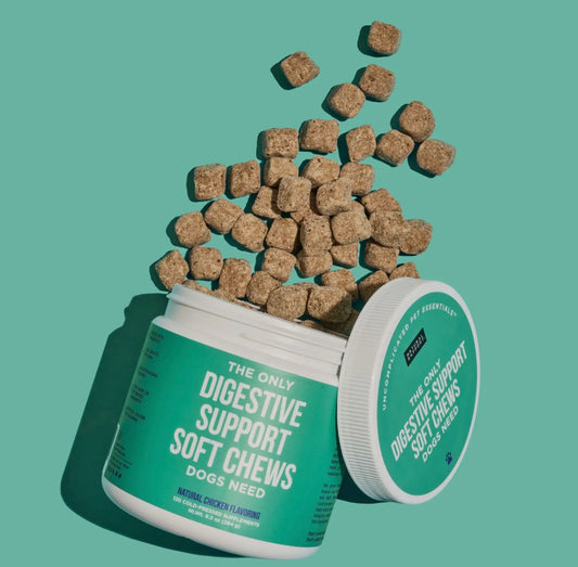 The Only Digestive Support Soft Chews Dogs Need: 120 count jar