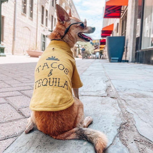 "Tacos & Tequila" Dog T-Shirt - Mustard