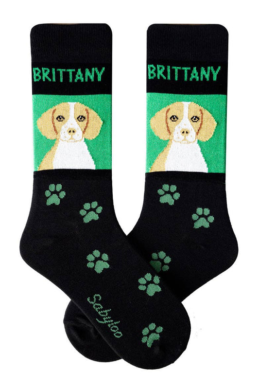 Brittany Dog Socks: 10-13