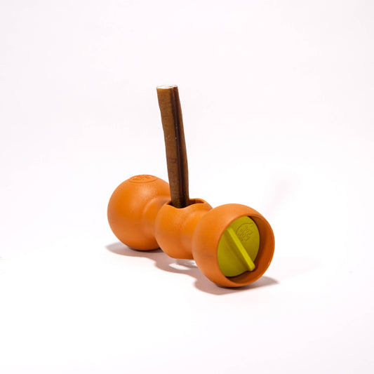 Made in the USA Bow Wow Buddy: Small/Orange