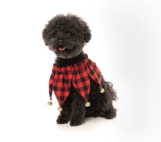 Fuzzyard Jester Collar