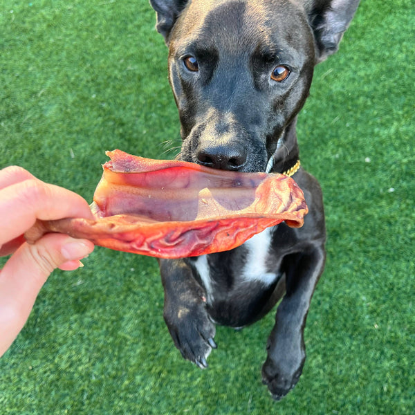 Air-dried Pig Ear