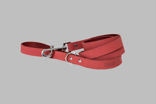 Modern Style Soft Leather Euro Dog Leash: Large 3/4" Width 6' Length / Coral Reef