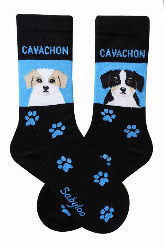 Cavachon Dog Socks: 10-13