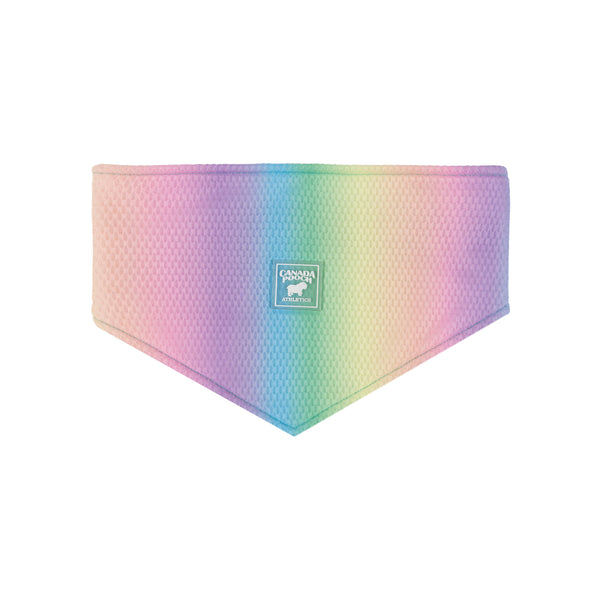 Chill Seeker Cooling Dog Bandana Rainbow