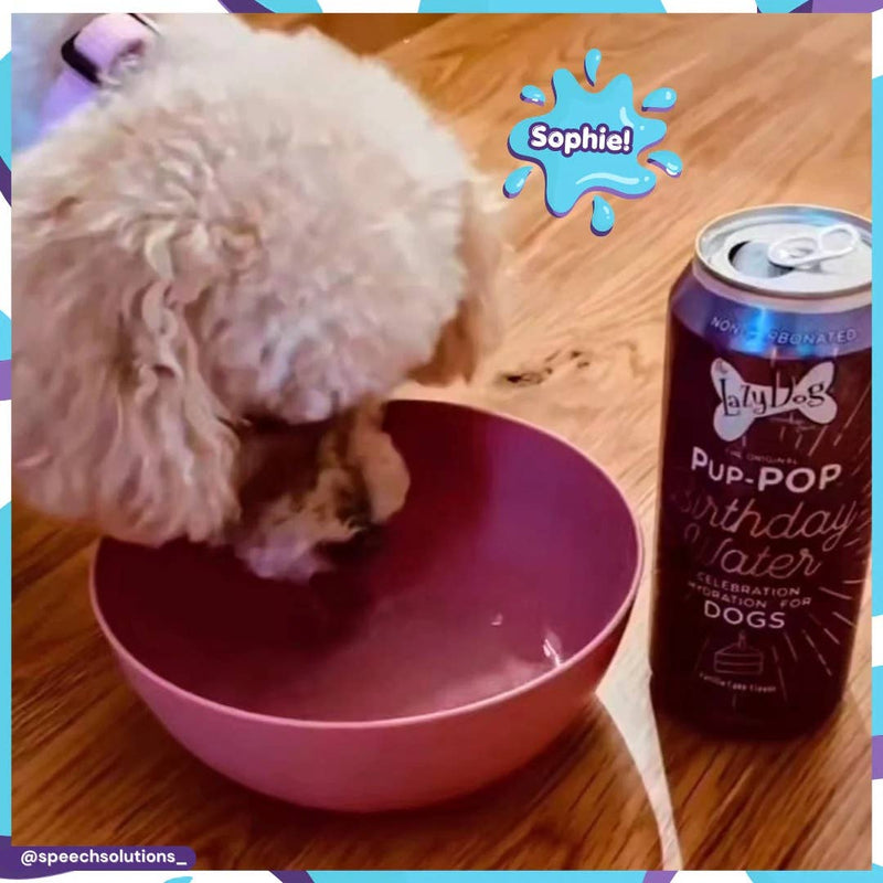 Lazy Dog Pup-POP Birthday Water Vanilla Cake Flavor