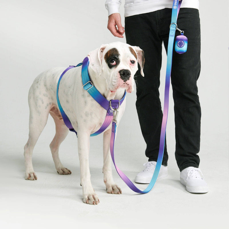 Spark Paws Comfort Control No-Pull Dog Harness - 90s Retro: L