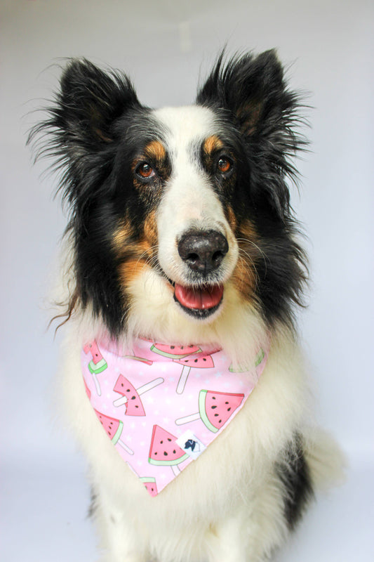 Watermelon Tie On Dog Bandana