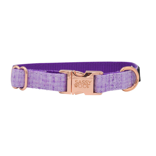 Dog Collar - Aurora (Solids)