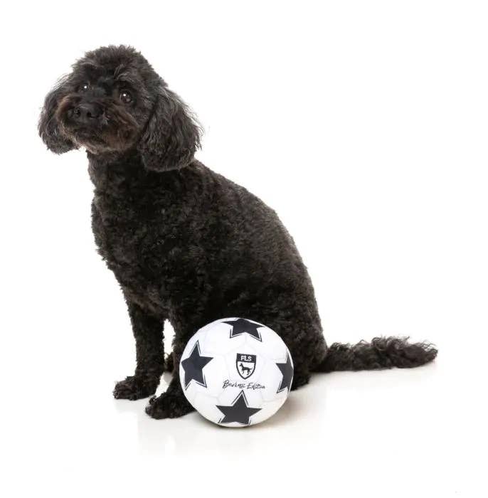 FuzzYard Soccer Ball Plush Dog Toy