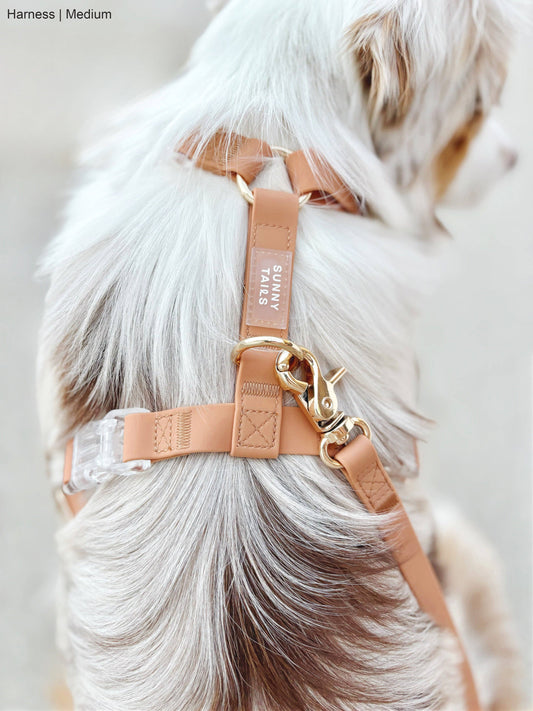 Sunny Tails Cloud Lite Dog Harness