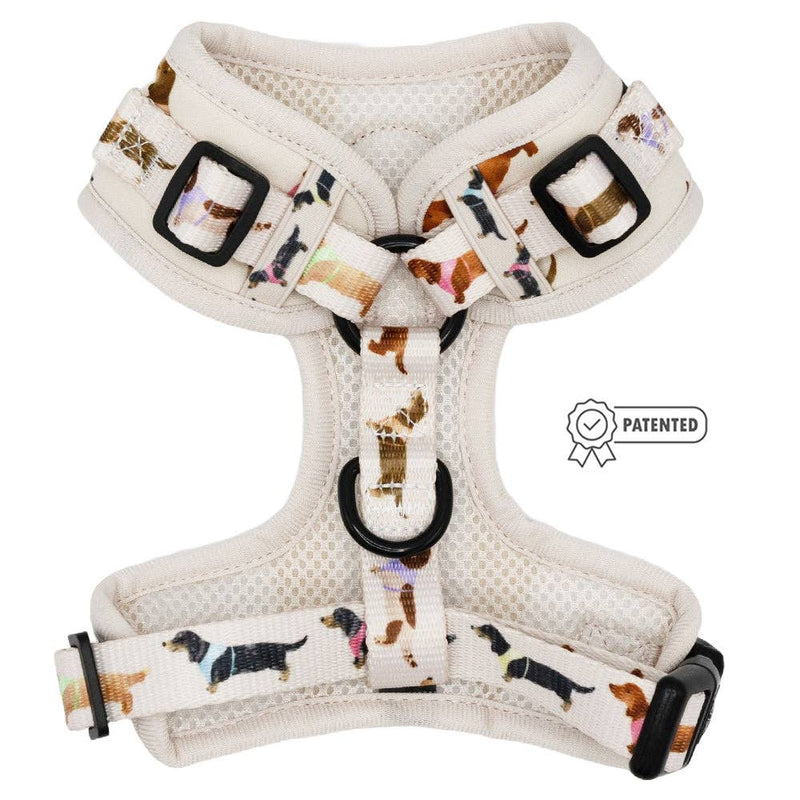 Dog Adjustable Harness - Dainty Dachshunds: Medium