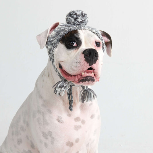 Spark Paws Knit Pom Pom Dog Beanie Hat - Salt and Pepper