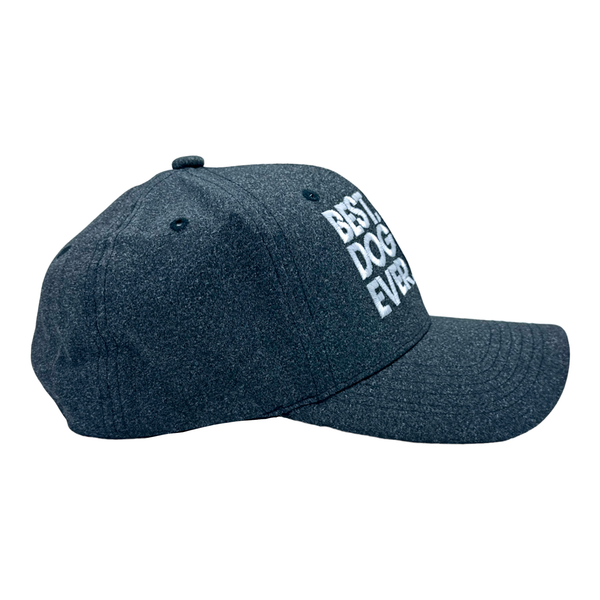 Best Dog Dad Ever Hat - Father's Day