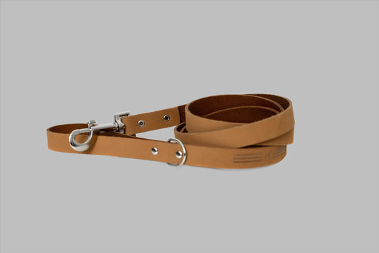 Modern Style Soft Leather Euro Dog Leash: Large 3/4" Width 6' Length / Khaki