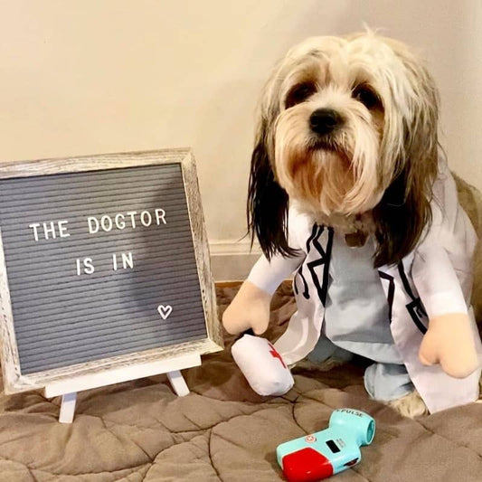 Funny Pet Costume- The Dogtor