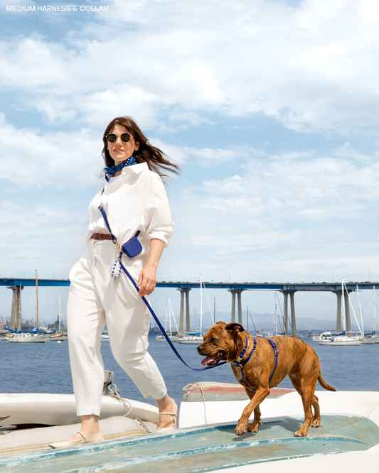 Signature Navy 4-in-1 Convertible Hands Free Cloud Dog Leash