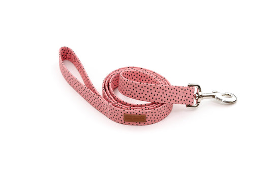 The Venice Leash: 1" x 5ft / Stainless / No Upgrades