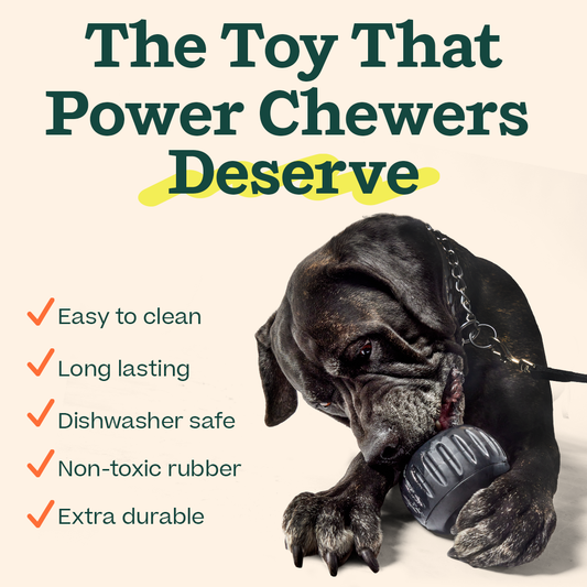 The 'Power Chewer' Pupsicle: Large