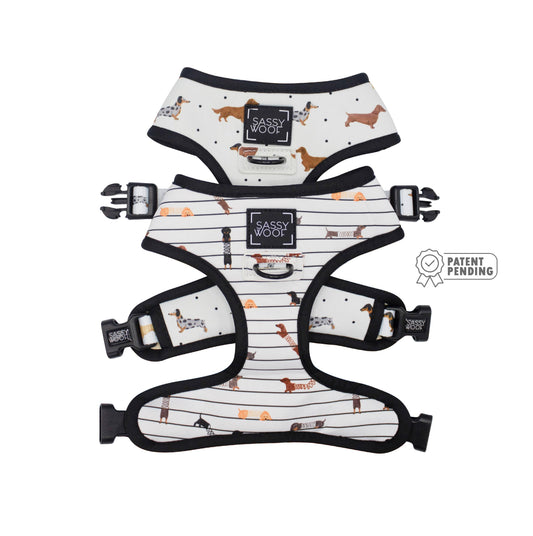 Dog Reversible Harness - 101 Dachshunds: M