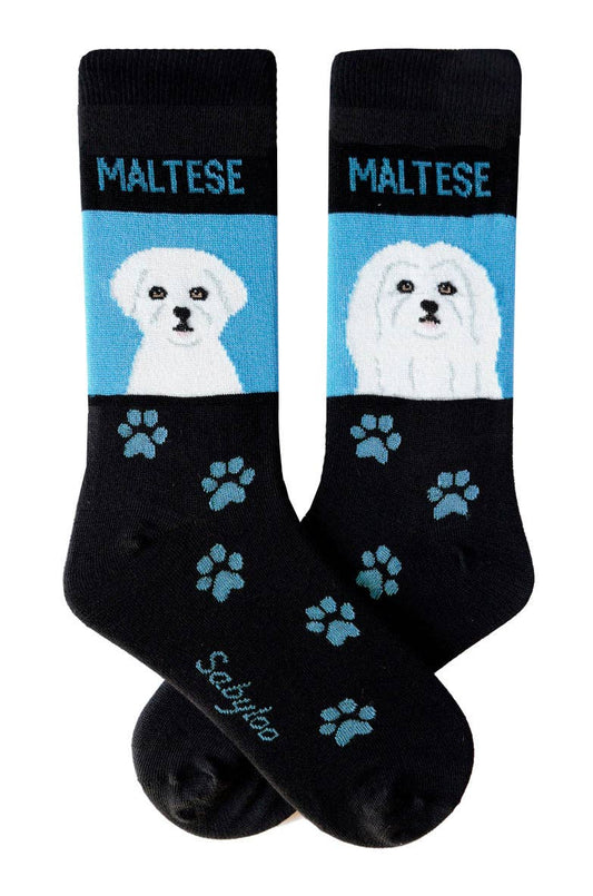 Maltese Dog Socks: 10-13