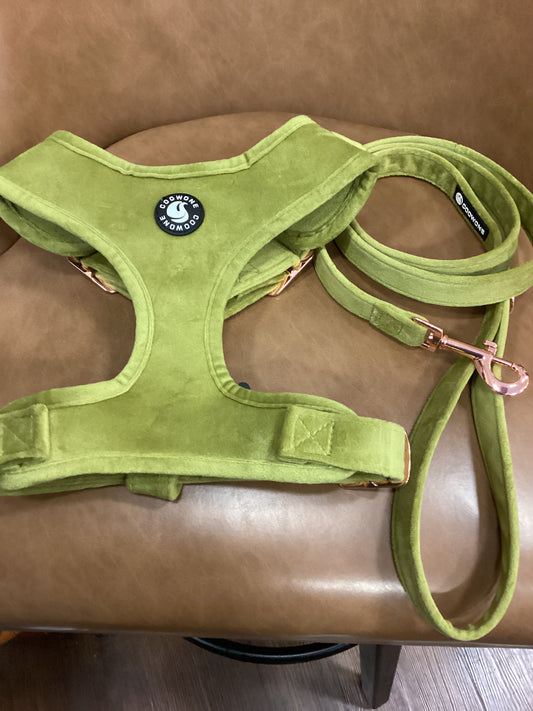 Coowone Harness-Leash Set