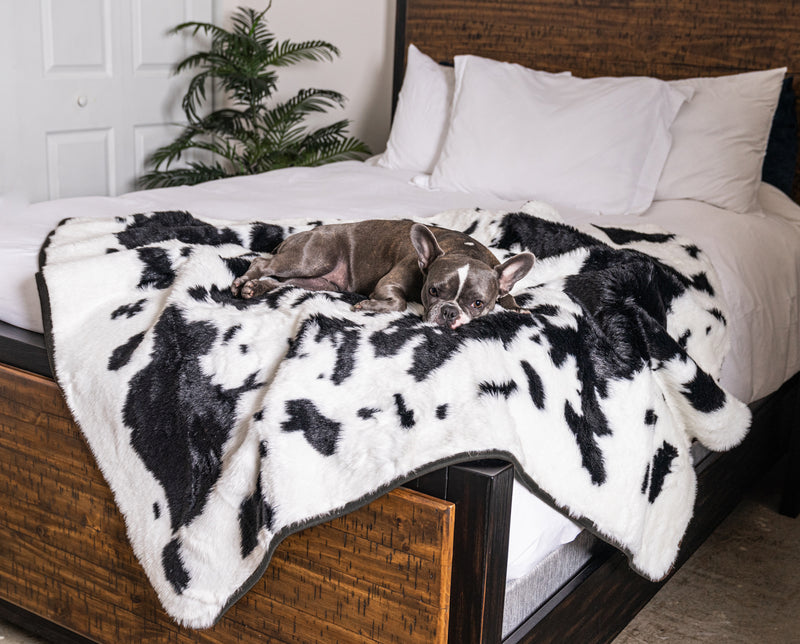 PupProtector™ Waterproof Throw Blanket - Black Faux Cowhide