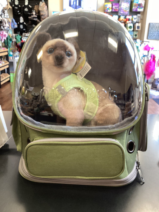 Moorpet Cat Backpack