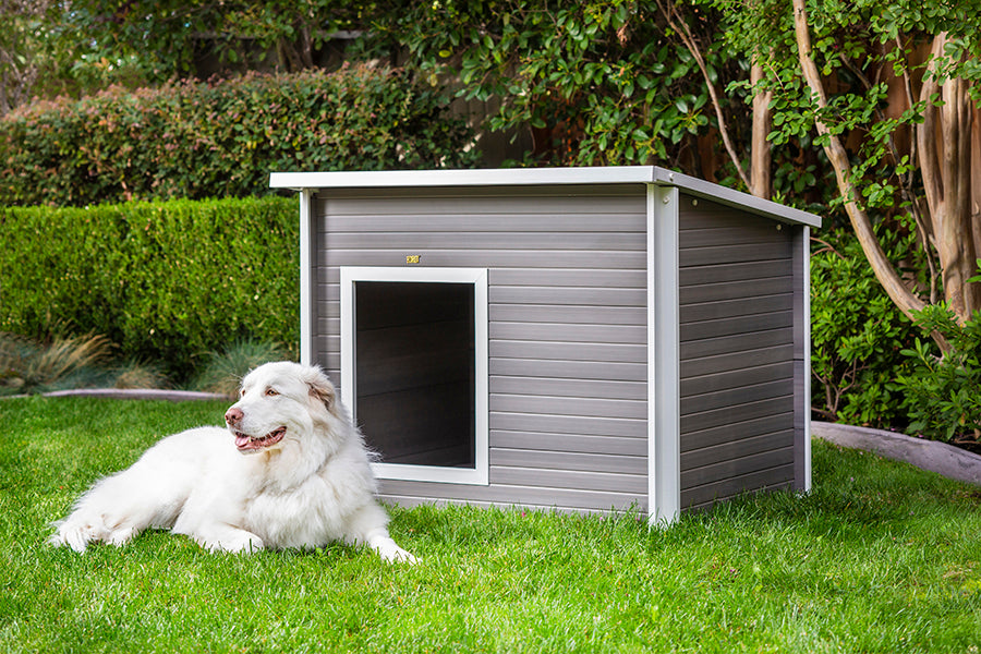 DOG HOUSES