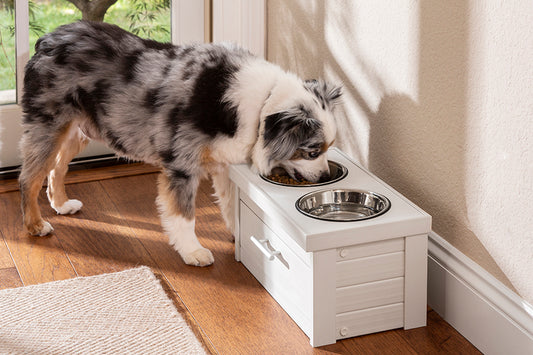 Small Ecoflex Pet Feeder with Storage