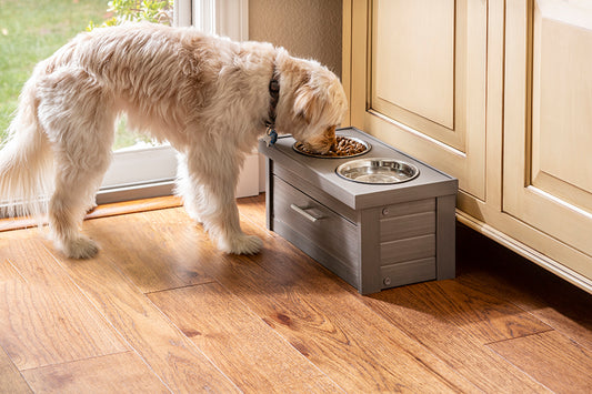 Small Ecoflex Pet Feeder with Storage