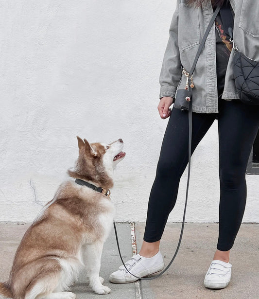 Sunny Tails Waste Bag Holder