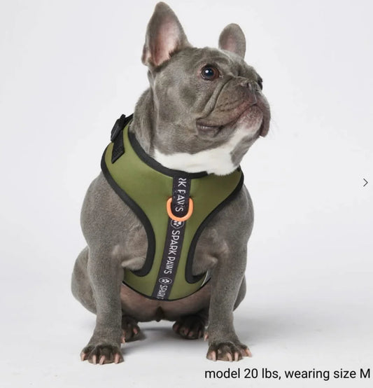 Ultra-Soft Activewear Harness