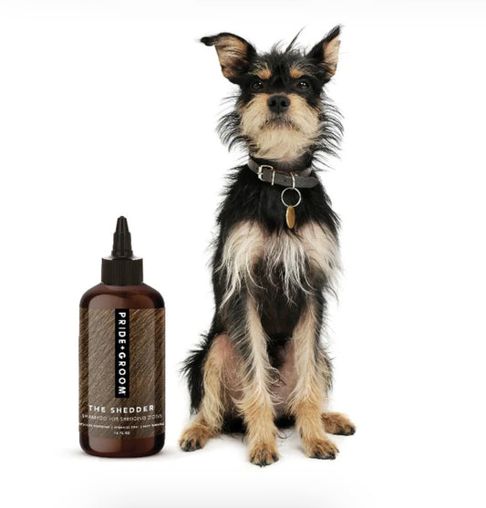 Pride+Groom “The Shedder” Shampoo