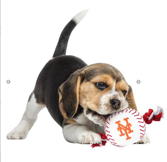 Baseball Toy - Nylon w/rope