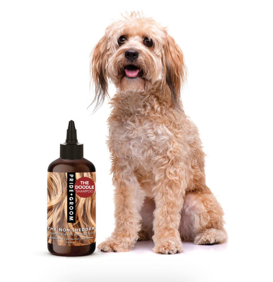 Pride+Groom “The Non Shedder” Shampoo