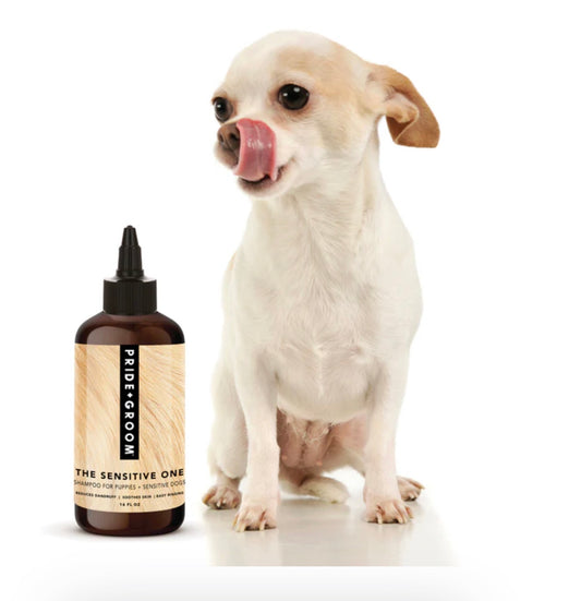 Pride+Groom “The Sensitive One” Shampoo