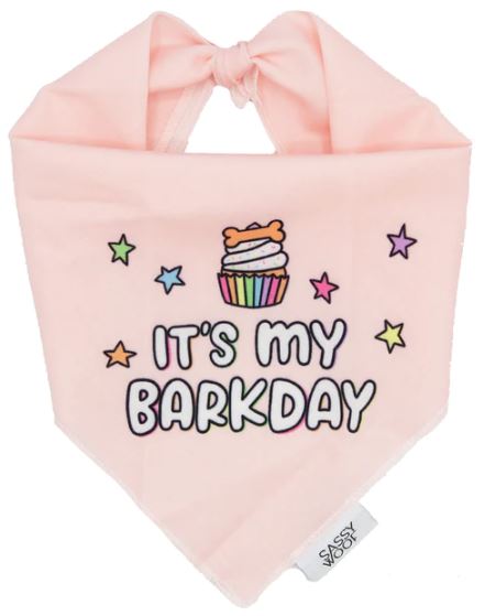 Dog Bandana - Barkday