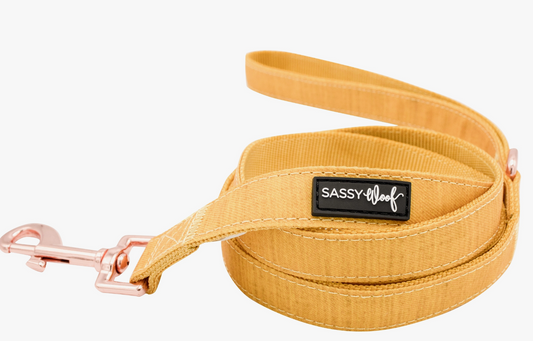 Sunflower Fields Yellow Dog Leash