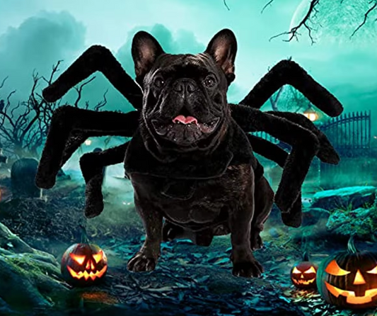 Pet Spider Costume