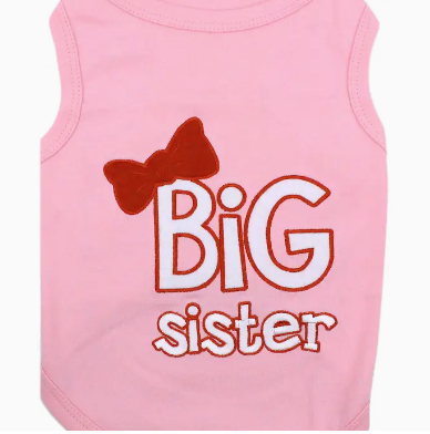 Big Brother / Big Sister Pet T-Shirt