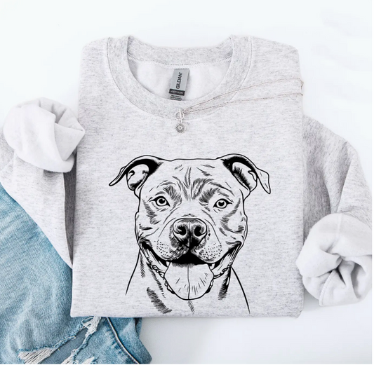 Pitbull Sweatshirt - Ash Gray