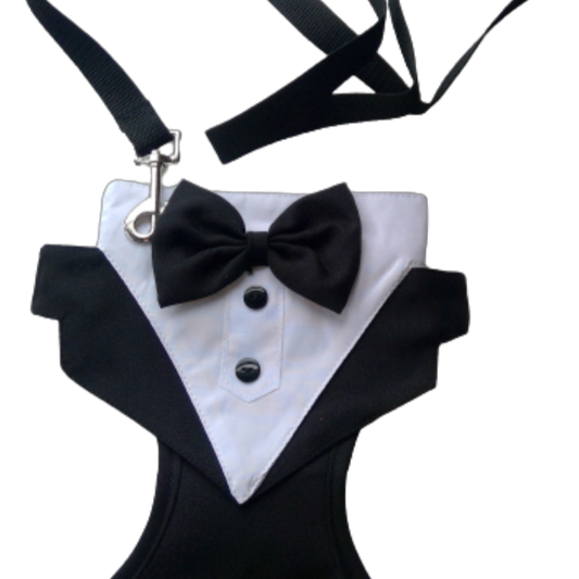 Tuxedo Wedding Harness & Leash Set