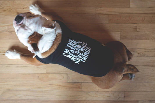 "I'm The Reason..." Dog T-Shirt - Black