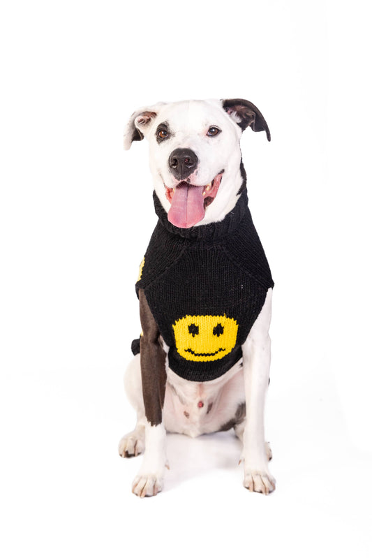 Chilly Dog Smiley dog and cat sweater