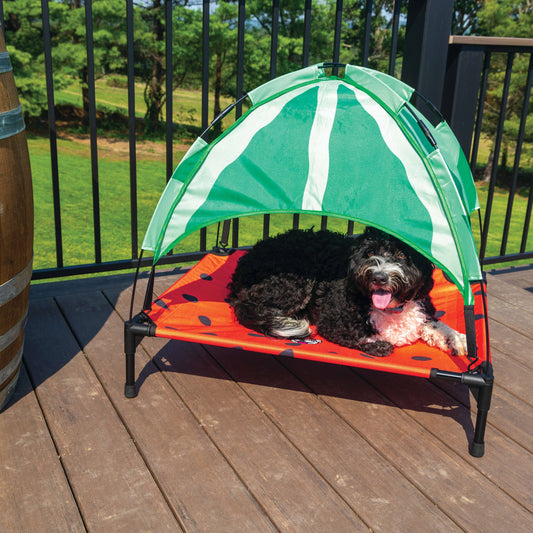 BigMouth Pets Watermelon Canopy Bed Large