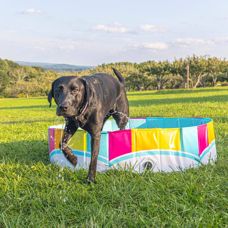 The Colors of the Rainbow Pet Splash Pool