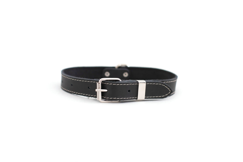 Traditional Style Soft Leather Euro Dog Collar Navy Soft