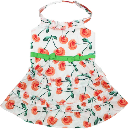 Red Poppies Boho Dress – Trendy Floral Dog Outfit for Pets